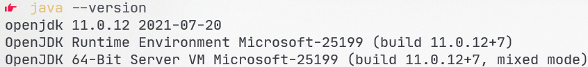 java --version 执行结果